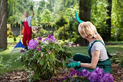 Gardener assessing a garden with clipboard near border