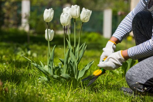 Staff member assisting a visitor along an accessible garden path