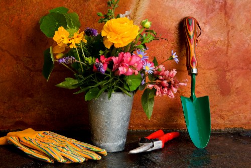Professional gardening services by Gardener Blackfriars